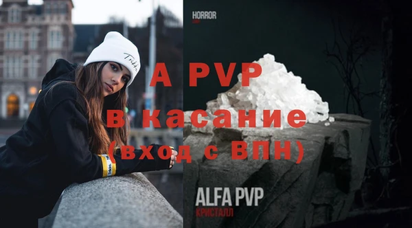 гашик Гусиноозёрск