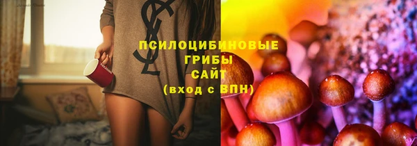 mdpv Горняк