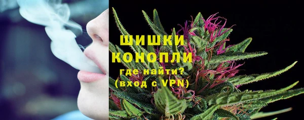 молекула духа Горнозаводск