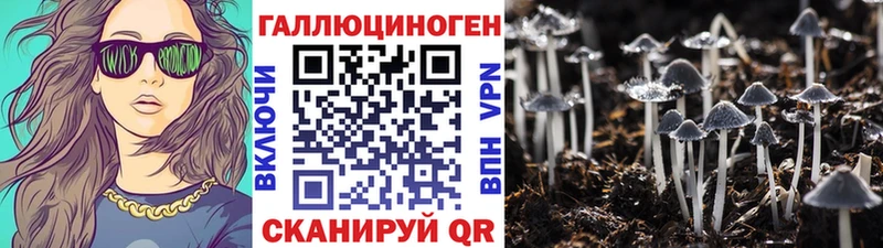 Галлюциногенные грибы Psilocybine cubensis  Елизово 